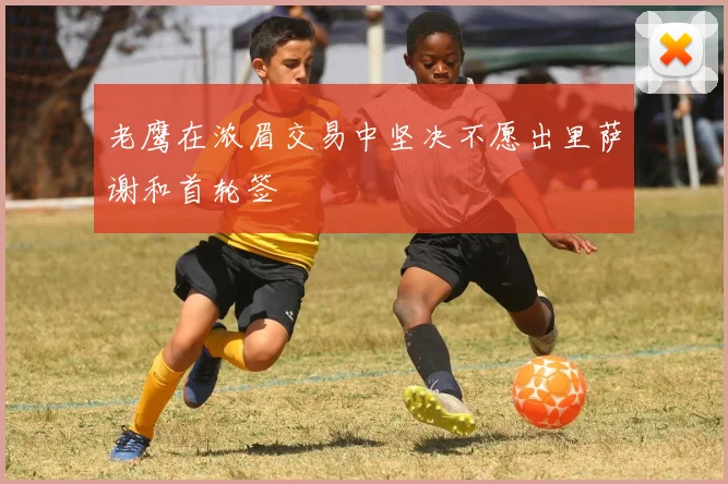 老鹰在浓眉交易中坚决不愿出里萨谢和首轮签