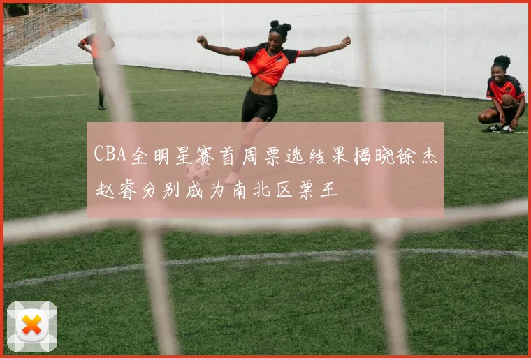 CBA全明星赛首周票选结果揭晓徐杰赵睿分别成为南北区票王