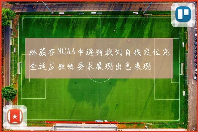 林葳在NCAA中逐渐找到自我定位完全适应教练要求展现出色表现